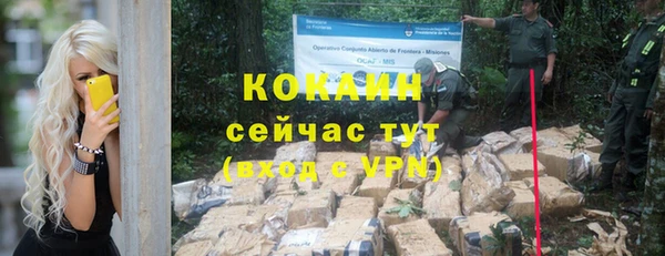 дживик Аркадак