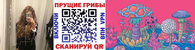 Псилоцибиновые грибы ЛСД  дарк нет как зайти  Покачи 
